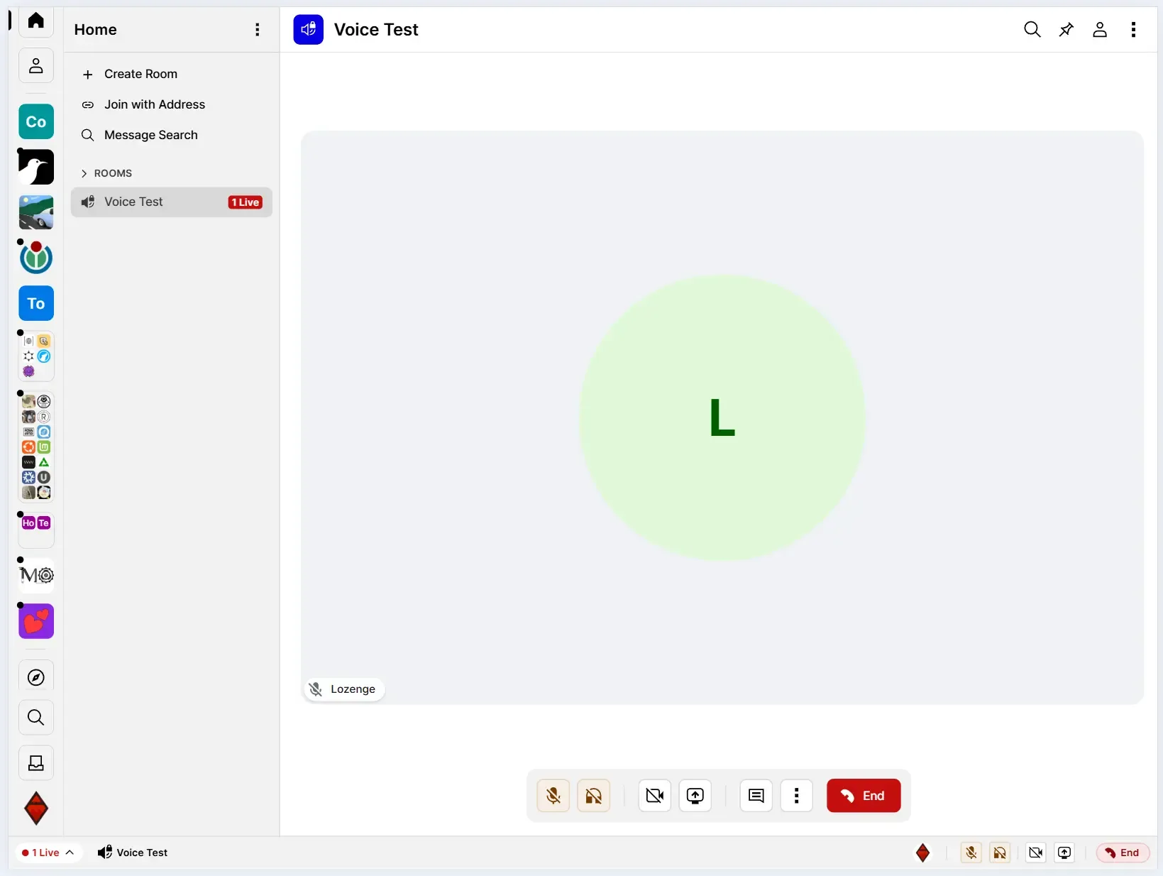 A screenshot of Cinny displaying a video room, where a video call is in full screen.
