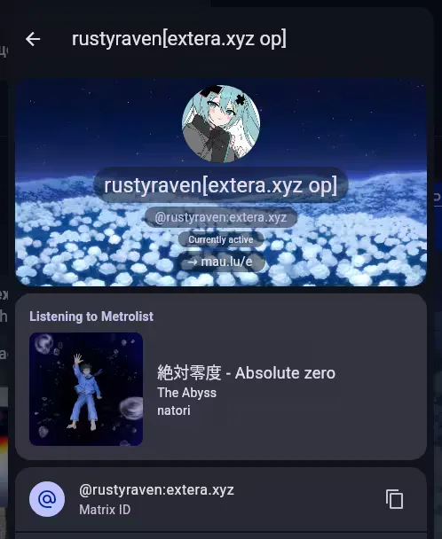 A screenshot of Extera RPC. It shows a user profile, including what they're listening to.